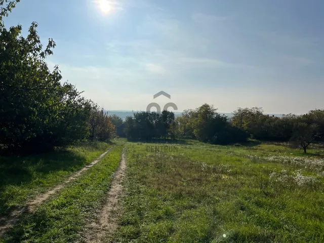 Eladó telek Kajászó 800 nm