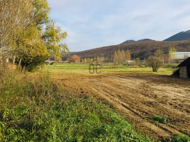 Eladó mezőgazdasági ingatlan Budakeszi 5254 nm