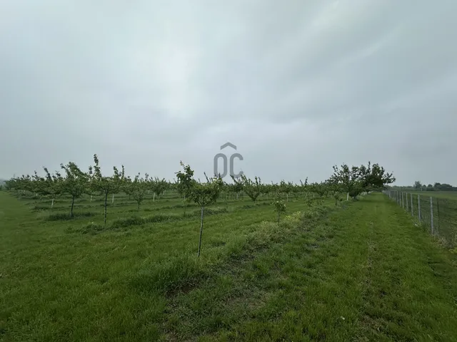 Eladó telek Százhalombatta, Óváros 13871 nm