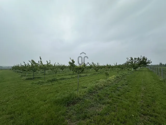 Eladó telek Százhalombatta, Óváros 13871 nm