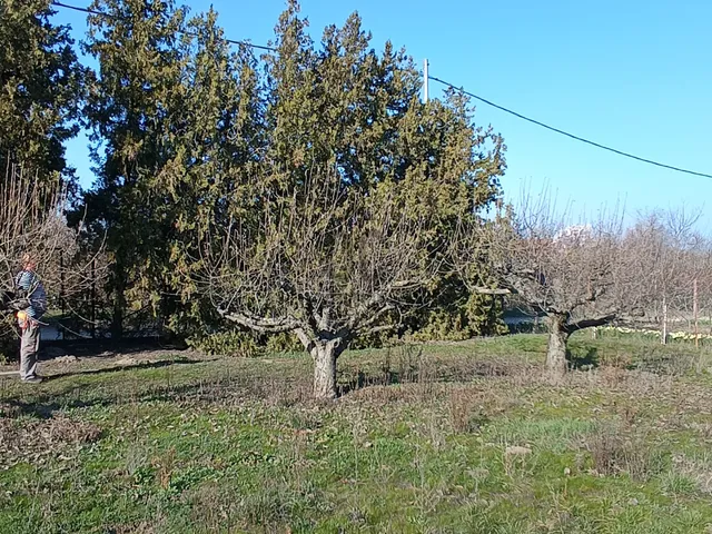 Eladó telek Érd 820 nm