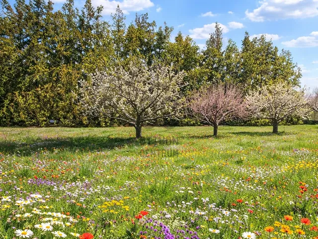 Eladó telek Érd 820 nm
