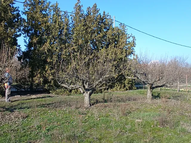 Eladó telek Érd 820 nm