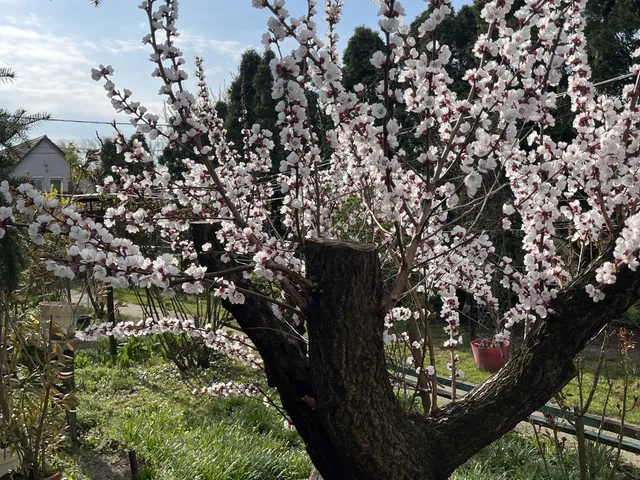 Eladó ház Százhalombatta, Dunafüred 75 nm