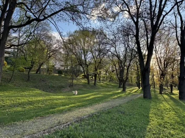 Kiadó lakás Budapest II. kerület 120 nm