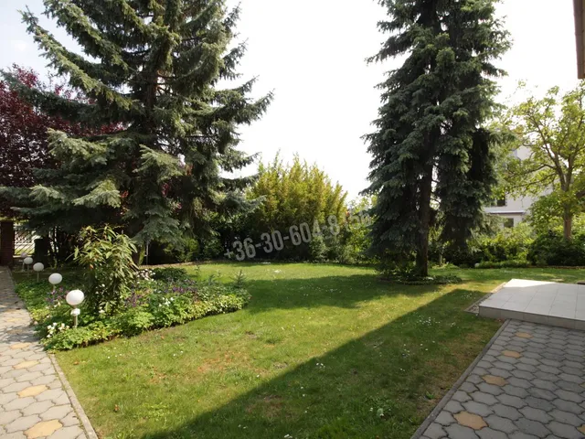 Kiadó ház Budapest II. kerület, Vérhalom 360 nm