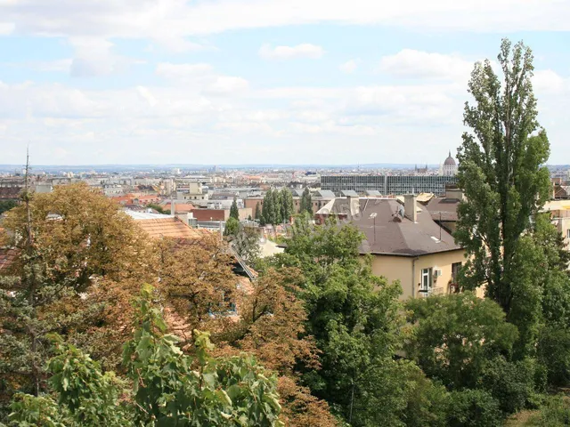 Kiadó lakás Budapest II. kerület, Országút 55 nm