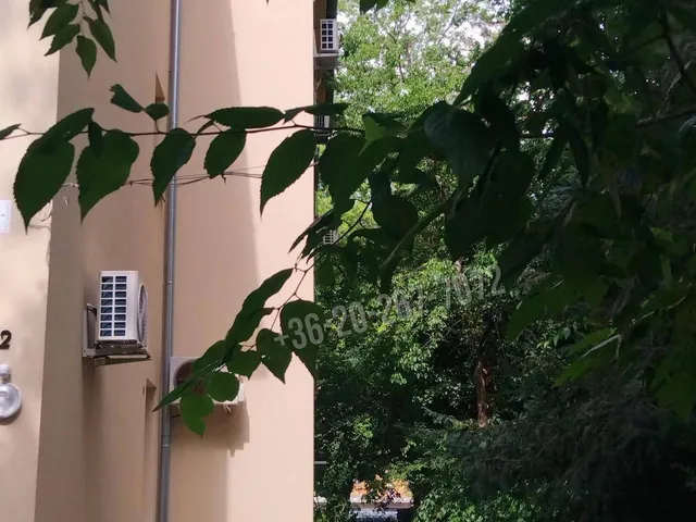 Kiadó lakás Budapest XIV. kerület, Herminamező 30 nm