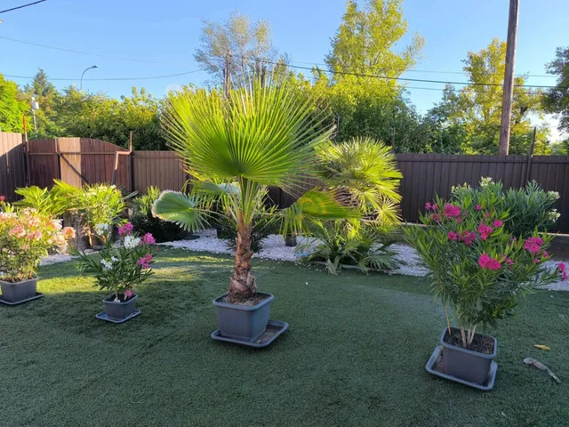 Eladó ház Budapest XV. kerület, Pestújhely 151 nm