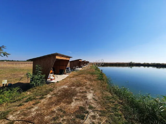 Eladó mezőgazdasági ingatlan Abony 100 nm