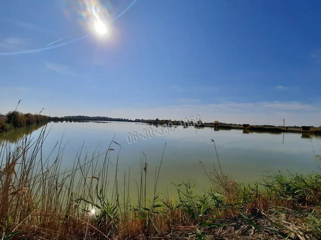 Eladó mezőgazdasági ingatlan Abony 100 nm