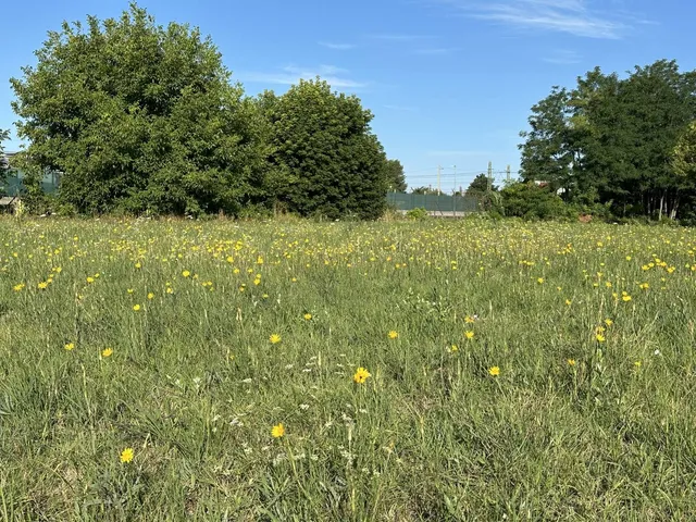 Eladó telek Tököl 680 nm