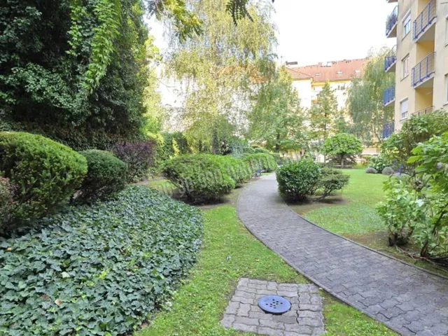 Kiadó lakás Budapest IX. kerület 37 nm