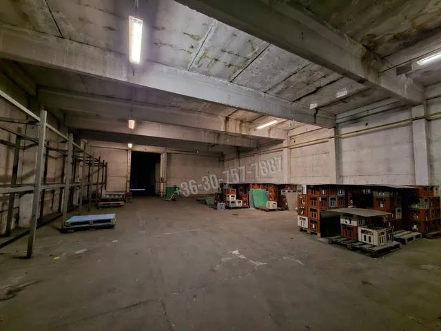 Kiadó kereskedelmi és ipari ingatlan Szigetcsép, Külterület 100 nm