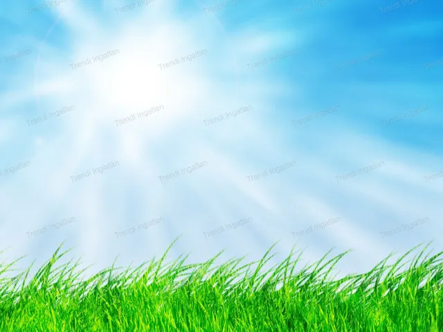 Eladó telek Nagyszentjános 810 nm