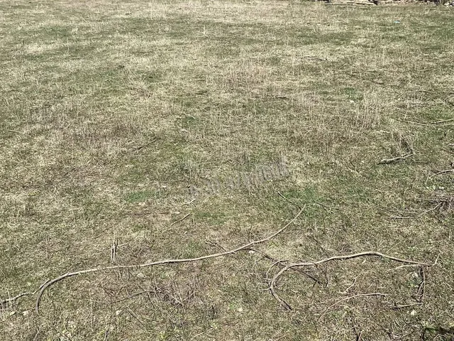 Eladó telek Sopron 1571 nm