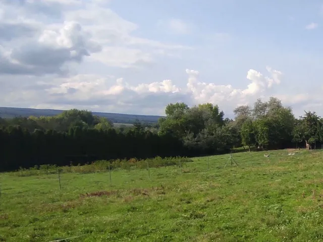 Eladó telek Sopron 1571 nm