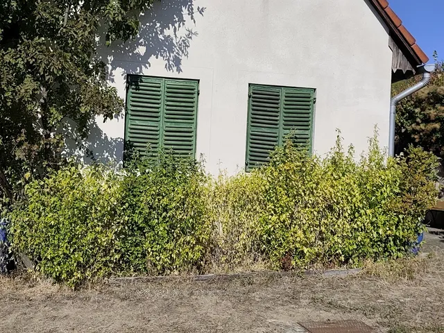 Eladó mezőgazdasági ingatlan Pécsely 82 nm