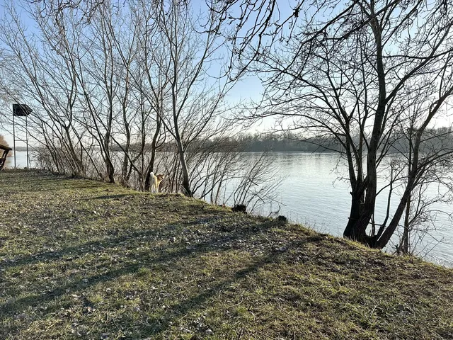 Eladó ház Vác 133 nm