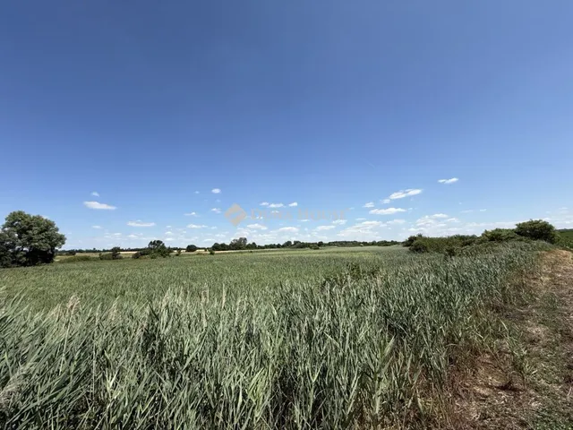 Eladó telek Kóka 74540 nm