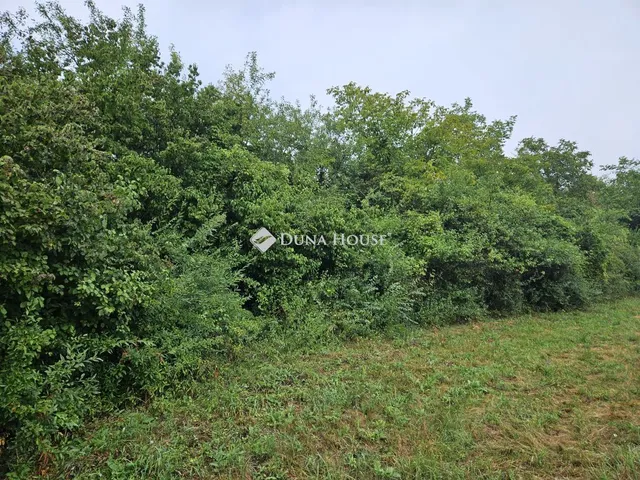 Eladó telek Marcali, Nincs utca 3516 nm