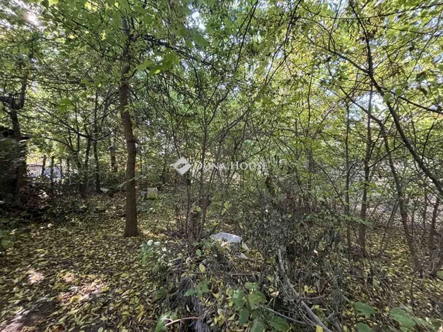 Eladó telek Szentmártonkáta 717 nm