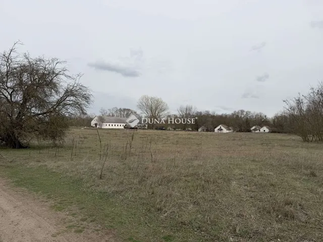 Eladó telek Lajosmizse 6000 nm