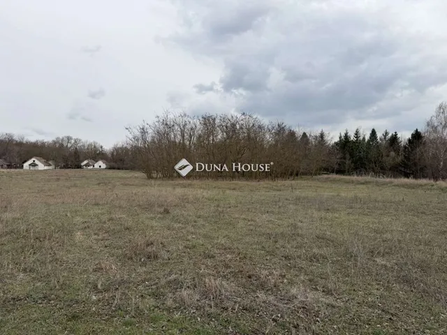 Eladó telek Lajosmizse 6000 nm