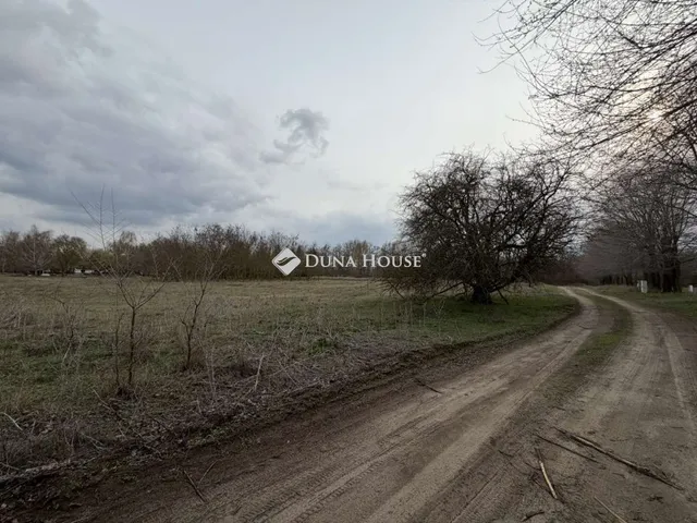 Eladó telek Lajosmizse 6000 nm