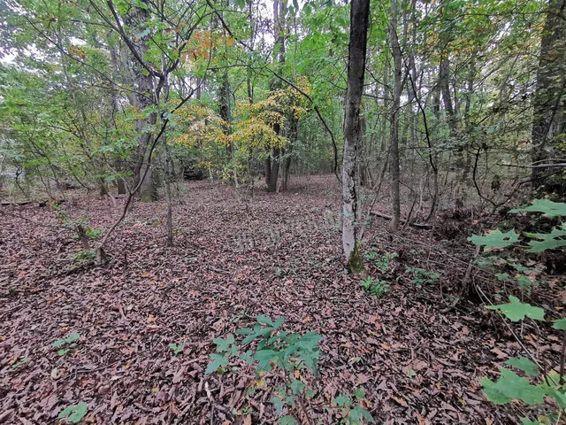 Eladó telek Kismaros, Börzsönyliget 2675 nm