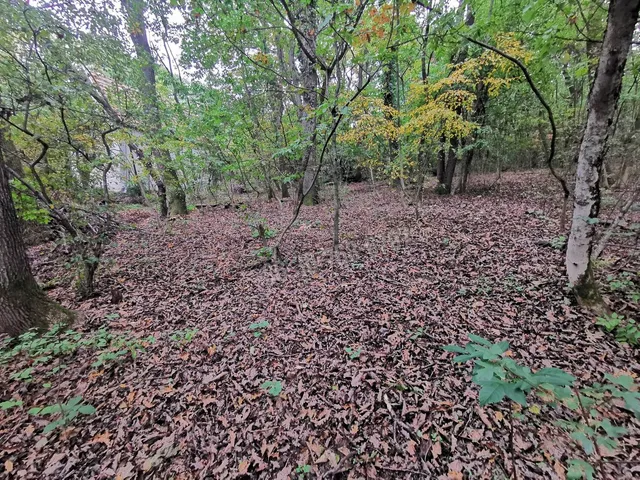 Eladó telek Kismaros, Börzsönyliget 2675 nm