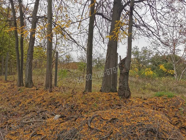 Eladó telek Vác 1142 nm
