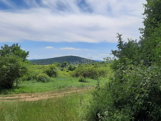 Eladó telek Kóspallag 4464 nm