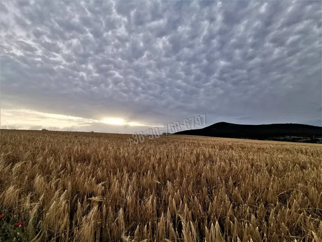 Eladó telek Kosd 1208 nm