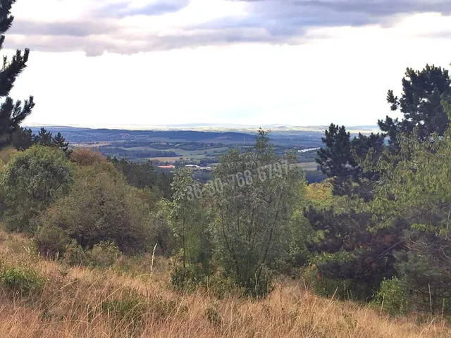 Eladó telek Vác, Gombás, Kútvölgy düllő 10000 nm