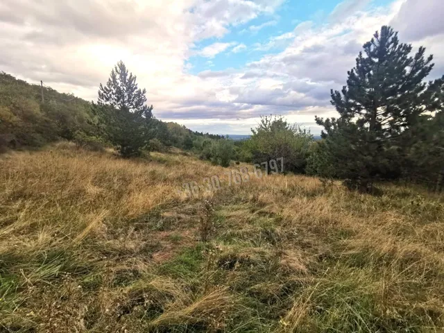 Eladó telek Vác, Gombás, Kútvölgy düllő 10000 nm