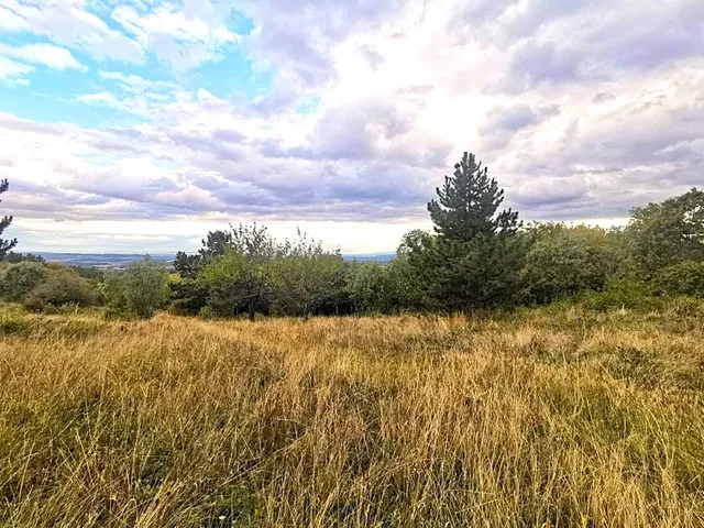 Eladó telek Vác, Gombás 10000 nm