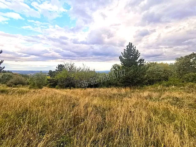 Eladó telek Vác, Gombás 10000 nm