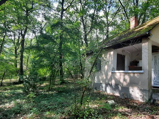 Eladó telek Kismaros, Börzsönyliget 955 nm