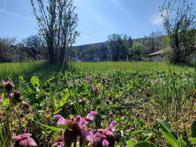 Eladó telek Zebegény 1140 nm