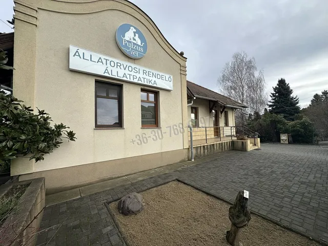 Eladó kereskedelmi és ipari ingatlan Sződliget 154 nm