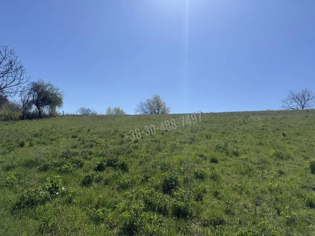 Eladó telek Vác 5313 nm