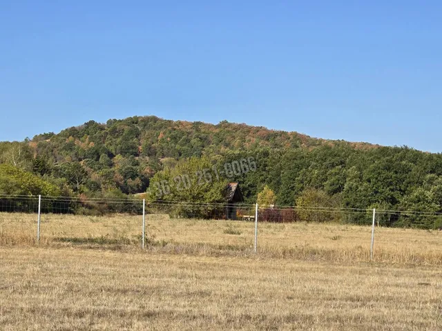Eladó telek Kismaros, Börzsönyliget 6192 nm