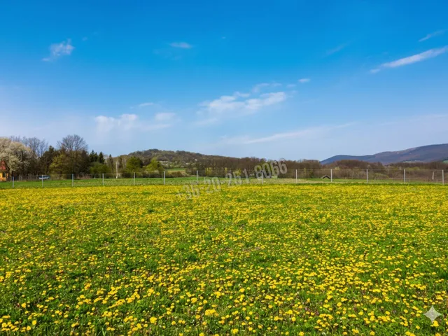 Eladó telek Kismaros, Börzsönyliget 6192 nm