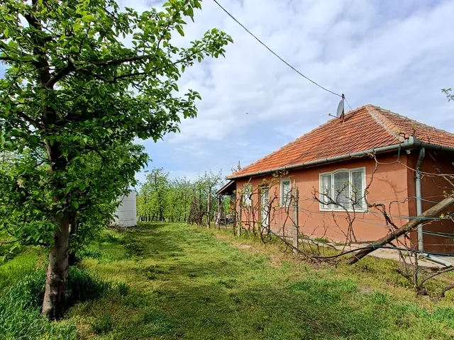 Eladó mezőgazdasági ingatlan Jánoshalma 40 nm