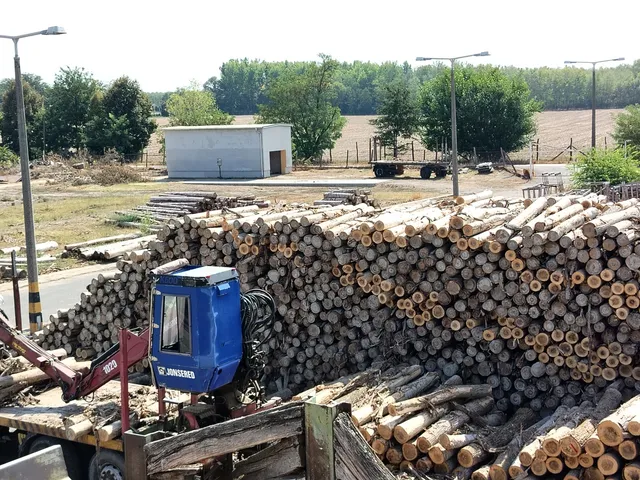 Eladó kereskedelmi és ipari ingatlan Érsekcsanád 4750 nm