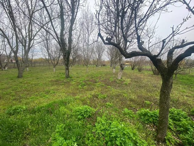 Eladó telek Kiskunhalas 2735 nm
