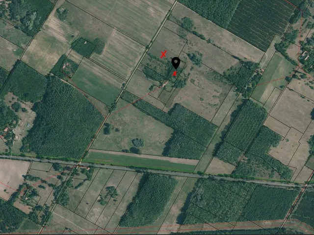 Eladó mezőgazdasági ingatlan Kiskunhalas 29314 nm