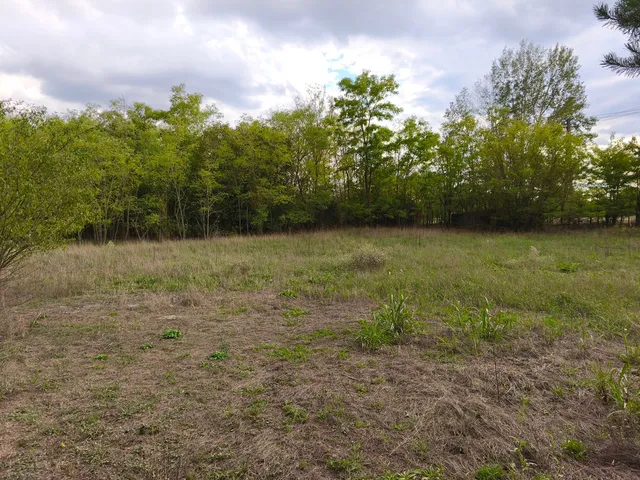 Eladó mezőgazdasági ingatlan Kelebia 40 nm