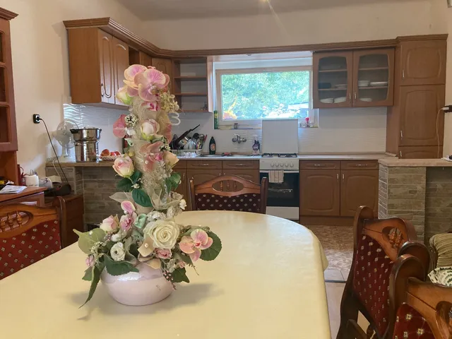 Eladó ház Kiskunhalas 173 nm